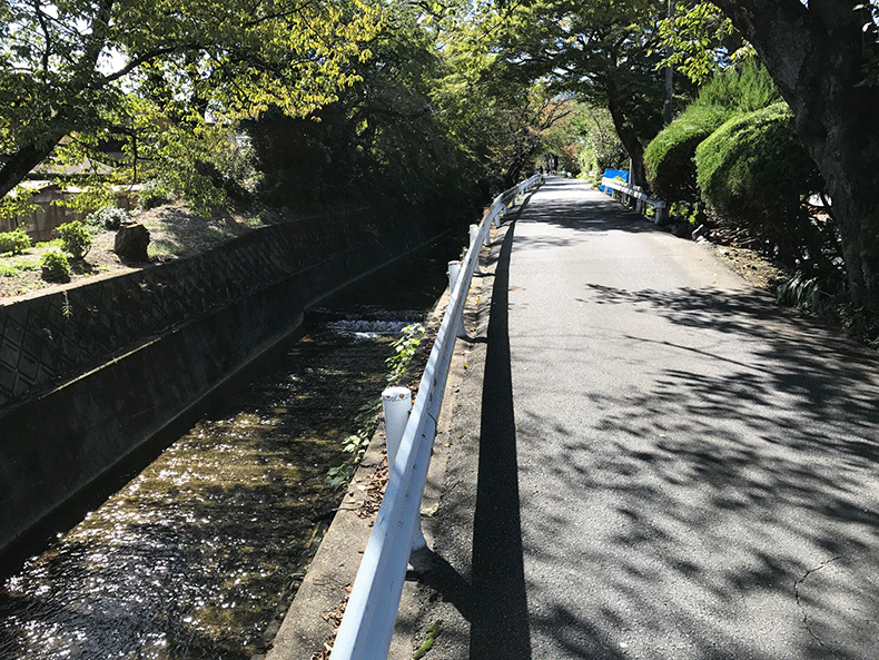 suzumushi_road